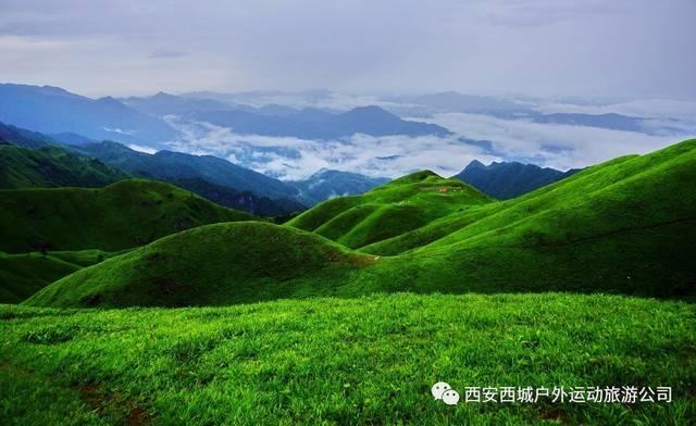 年货节扫货指南,潘高寿健康食品优惠到家